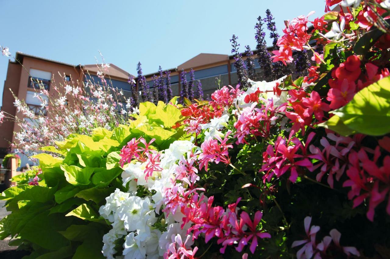 Les Terrasses De Borda*** Hotel ดักซ์ ภายนอก รูปภาพ